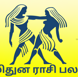 2026 மிதுன ராசி பலன்கள்: சோதனைகளை சாதனைகளாக மாற்றும் பொற்காலம்!