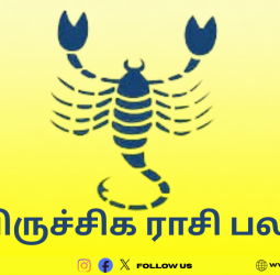 2026 விருச்சிக ராசி பலன்கள்: துரதிர்ஷ்டம் விலகி அதிர்ஷ்ட மழை பொழியப்போகிறது!