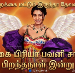 பிரியா பவானி சங்கரின் பிறந்தநாள் ஸ்பெஷல் - 'மது' முதல் 'சத்யா' வரை ஒரு பார்வை!