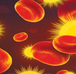 உடல் தன்னைத்தானே குணப்படுத்தும் 7 அதிசய இடங்கள்!