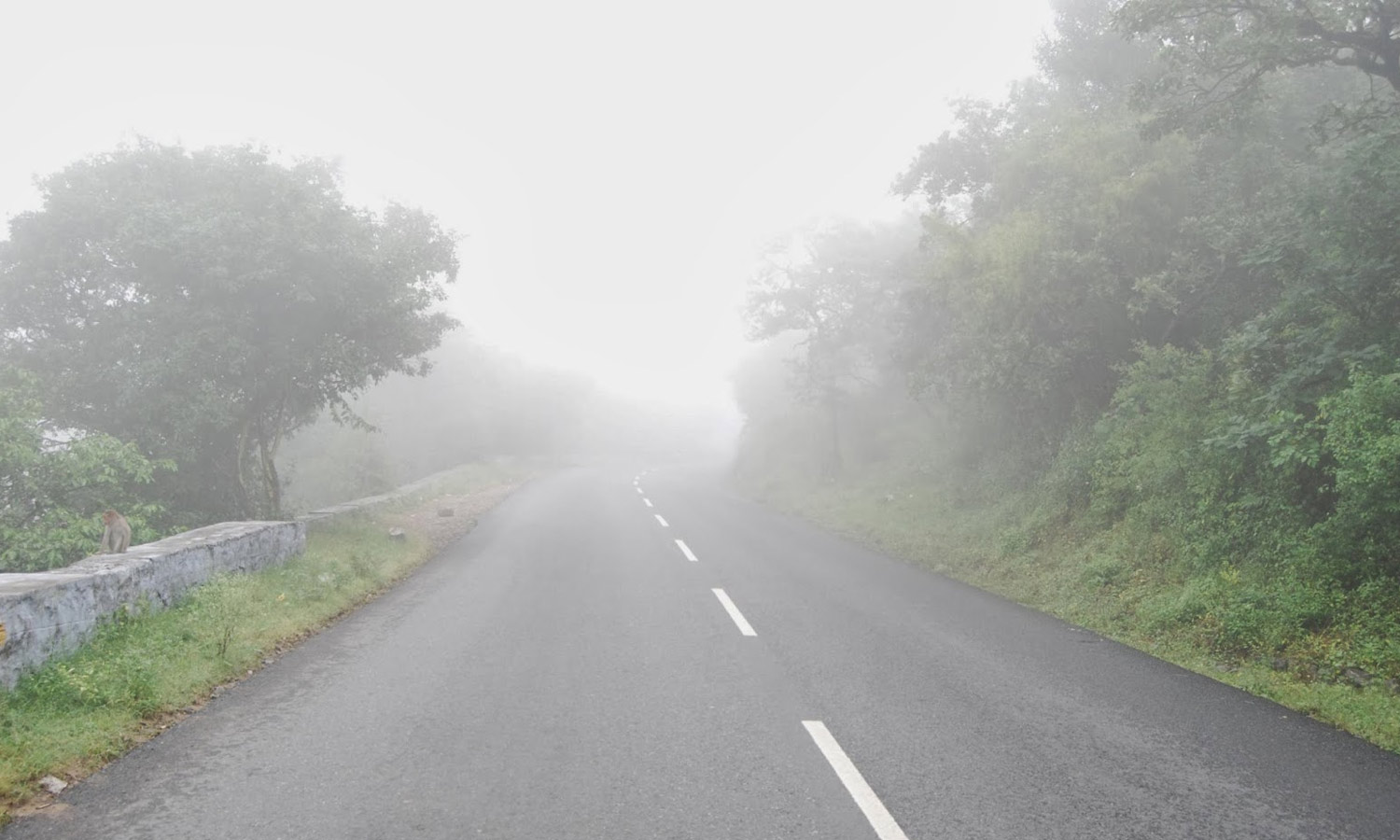 தமிழகத்தை உலுக்கும் கடும் குளிர்: நீலகிரியில் உறைபனி தாக்கம்