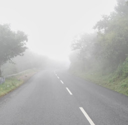 தமிழகத்தை உலுக்கும் கடும் குளிர்: நீலகிரியில் உறைபனி தாக்கம்