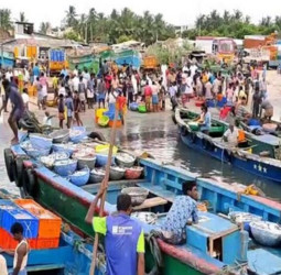 இலங்கையில் தவிக்கும் தமிழக மீனவர்கள்: வீடியோ வெளியீடு