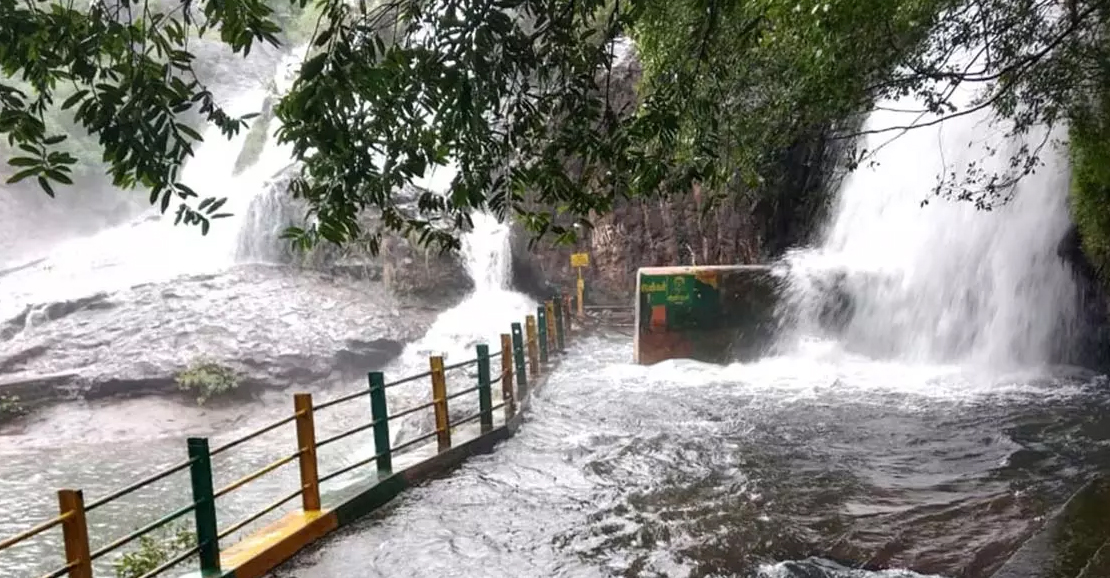 தென்காசி, தூத்துக்குடி, நெல்லை: மூன்று மாவட்டங்களில் இன்று கனமழைக்கு வாய்ப்பு!