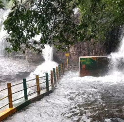 தென்காசி, தூத்துக்குடி, நெல்லை: மூன்று மாவட்டங்களில் இன்று கனமழைக்கு வாய்ப்பு!