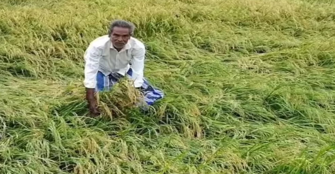 விவசாயிகளுக்கு மகிழ்ச்சிச் செய்தி: ரூ.289.63 கோடி பயிர் நிவாரண நிதி