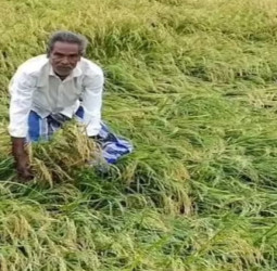 விவசாயிகளுக்கு மகிழ்ச்சிச் செய்தி: ரூ.289.63 கோடி பயிர் நிவாரண நிதி