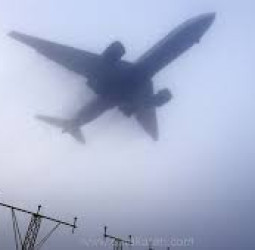 டெல்லி விமான நிலையம்: கடும் பனியால் 228 விமானங்கள் இரத்து; காற்று மாசுபாடு தொடர்கிறது