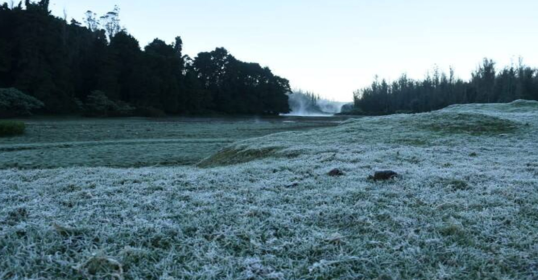 உதகையில் கடும் பனிப்பொழிவு; இயல்பு வாழ்க்கை பாதிப்பு!