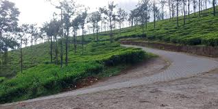 நீலகிரி மாவட்டத்தில் குந்தா, பந்தலூர் என இரண்டு புதிய ஊராட்சி ஒன்றியங்கள் உதயம்!