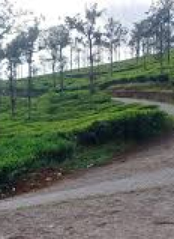 நீலகிரி மாவட்டத்தில் குந்தா, பந்தலூர் என இரண்டு புதிய ஊராட்சி ஒன்றியங்கள் உதயம்!