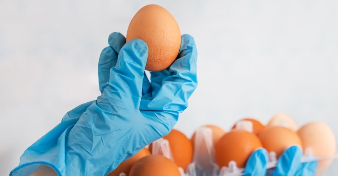 முட்டை சாப்பிட்டால் புற்றுநோய் வருமா? வதந்திகளும்.. மறைக்கப்படும் உண்மைகளும்!