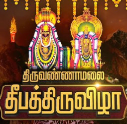 திருவண்ணாமலையில் களைகட்டிய தீபத்திருவிழா