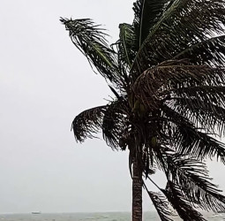 Chennai மற்றும் திருவள்ளூரில் கனமழை