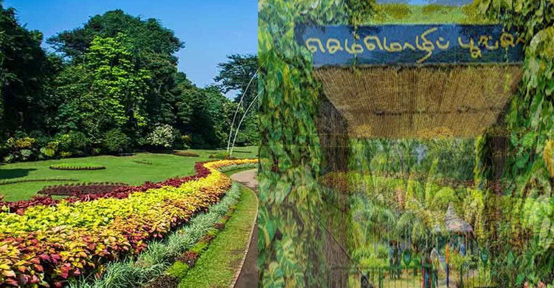 'முதலமைச்சர்  மு .க .ஸ்டாலின் கோய்ம்பத்தூரில்  செம்மொழி பூங்காவை திறந்து வைத்தார்