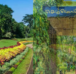 'முதலமைச்சர்  மு .க .ஸ்டாலின் கோய்ம்பத்தூரில்  செம்மொழி பூங்காவை திறந்து வைத்தார்