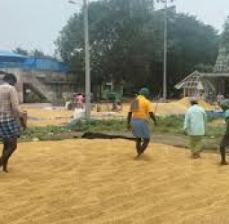 அரிசி கொள்முதல் இலக்கை உயர்த்துமாறு ஸ்டாலின் கோரிக்கை — விவசாயிகளுக்கு நிவாரணம் தர மத்திய அரசை கேட்டுக்கொண்ட முதல்வர்!