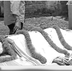 30 மாணவர்களைக் காக்கப் பாம்புடன் போரிட்டு உயிர்நீத்த தெருநாய்!