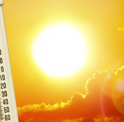 உள் தமிழகத்தில் வெயில் கொளுத்தப்போகுது! அடுத்த 4 நாட்களுக்கு எச்சரிக்கை.