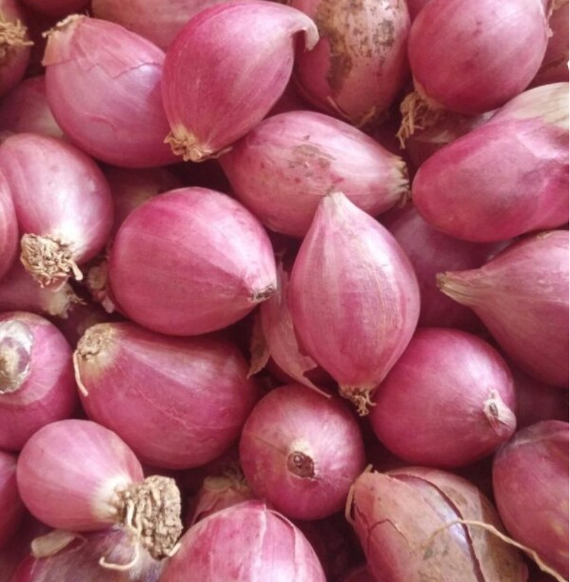 பச்சை வெங்காயம் – சுவை மட்டுமல்ல, உடல்நலத்திற்கும் பல நன்மைகள், ஏன் ?