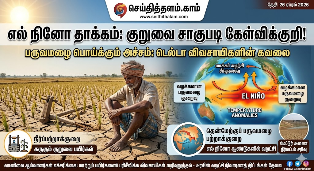 எல் நினோ தாக்கம்: இந்த ஆண்டு குறுவை சாகுபடி பாதிக்கப்படுமா?