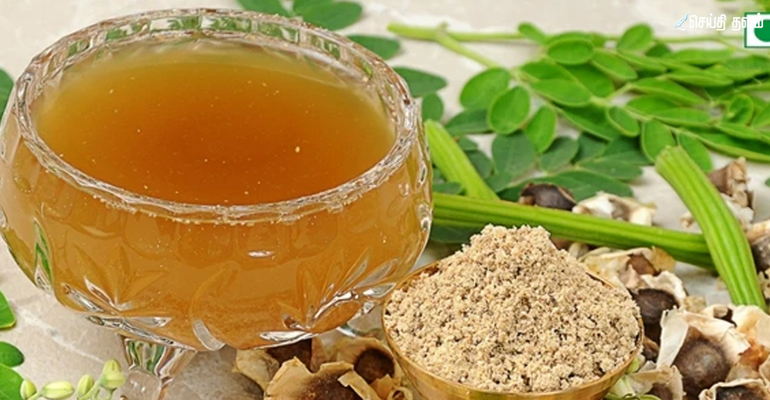 முருங்கை விதை பவுடர்: ஆண்மை மற்றும் நரம்பு பலம் பெற இயற்கை மருந்து!