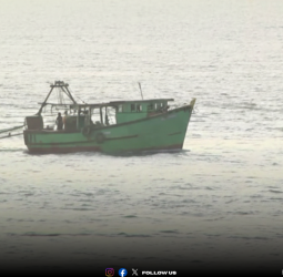 பாம்பன் மீனவர்கள் 12 பேர் கைது - விசைப்படகு பறிமுதல் எல்லையைத் தாண்டினார்களா? தலைமன்னாரில் நடப்பது என்ன?