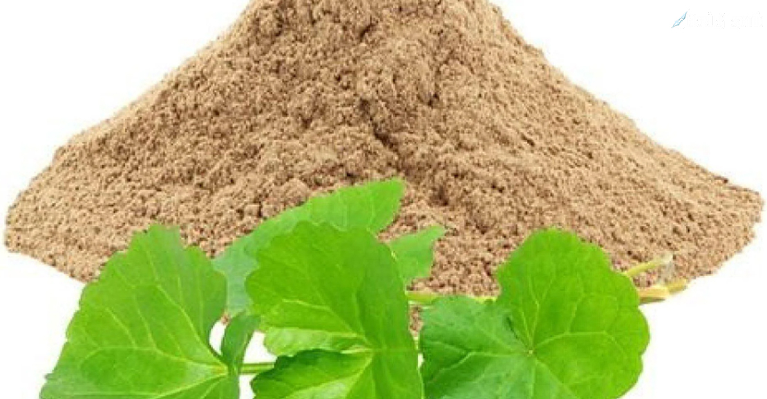 வல்லாரை பொடியின் மருத்துவ குணங்கள்: நினைவாற்றல் மற்றும் நரம்பு பலம் பெற!