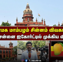 🥭பாமக மாம்பழம் சின்னம் விவகாரம்! - இன்று சென்னை ஐகோர்ட்டில் முக்கிய விசாரணை!