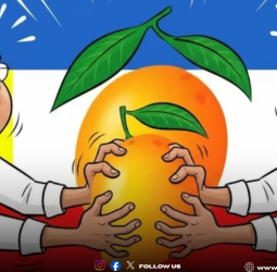 🥭 "பாமக சின்னம் விவகாரம்: ராமதாஸ் போட்ட மனு!" - அன்புமணி தரப்பிற்கு அதிர்ச்சி கொடுத்த நீதிபதிகள்! - 3 வாரத்தில் தேர்தல் ஆணையம் பதிலளிக்க உத்தரவு!