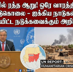🩸 சூடானில் ரத்த ஆறு! ஒரே வாரத்தில் 6,000 பேர் படுகொலை - ஐக்கிய நாடுகள் சபை வெளியிட்ட நடுக்கவைக்கும் அறிக்கை!