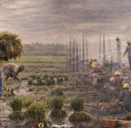 🔥 "தமிழக விவசாயத்தில் ஆள் பற்றாக்குறை!" - விவசாயப் பணிகளைப் புறக்கணிக்கும் 20% ஊரகத் தொழிலாளர்கள்! - கட்டுமானத்துறைக்கு மாறும் இளைஞர்கள்