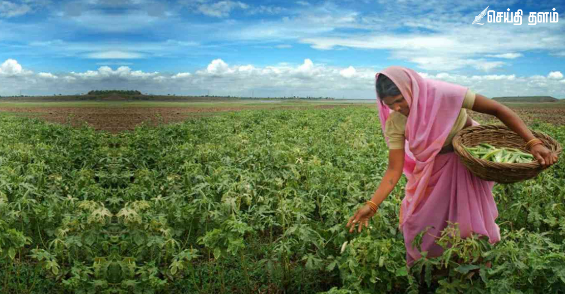 மத்திய அரசின் பெண்கள் விவசாய மேம்பாட்டுத் திட்டங்கள்