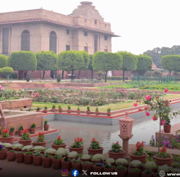 🌸 "அமிர்தத் தோட்டம் திறப்பு!" - நாளை முதல் பொதுமக்கள் பார்வைக்கு - பூத்துக் குலுங்கும் ஆயிரக்கணக்கான மலர்கள்!
