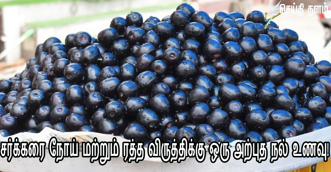 நாவல் கொட்டை பொடி: சர்க்கரை நோய் மற்றும் ரத்த விருத்திக்கு ஒரு அற்புத நல் உணவு!