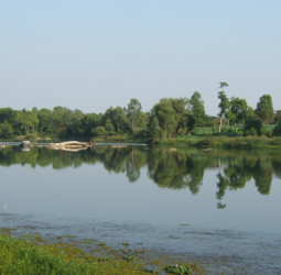 திருச்சி காவிரி ஆற்றங்கரை மேம்பாட்டுத் திட்டம்: டெண்டர் கோரப்பட்டது!