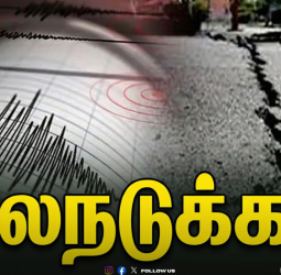 ⚠️ "ஆந்திராவில் அதிகாலையில் நிலநடுக்கம்!" - பல்நாடு பகுதியில் 3.5 ரிக்டர் அளவில் அதிர்வு; 10 கி.மீ ஆழத்தில் மையம் கொண்டதாகத் தகவல்!