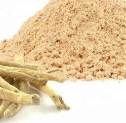 அமுக்கிரா பொடியின் மருத்துவ குணங்கள்: நரம்புத் தளர்ச்சி முதல் வாதவலி வரை தீர்வு!