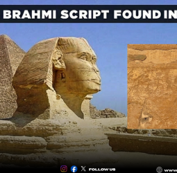 🏛️ "எகிப்து பிரமிடுகளில் தமிழ் கல்வெட்டுகள்!" - 2000 ஆண்டு கால மர்மம் விலகியது! - 'சிகை கொற்றன்' யார்?