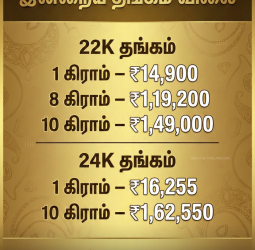 💰 "தங்கம் விலை மீண்டும் உயர்வு!" - சவரனுக்கு ரூ.5,040 அதிகரிப்பு! - இன்றைய தங்கம் மற்றும் வெள்ளி விலை நிலவரம்!