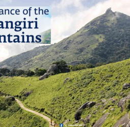 பக்தர்களுக்கு மகிழ்ச்சி செய்தி! வெள்ளியங்கிரி மலை ஏற பிப்ரவரி 1 முதல் அனுமதி - வனத்துறை அறிவிப்பு!