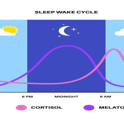 இரவு 1 மணி தூக்கம்: உங்கள் ஆரோக்கியத்திற்கு நீங்கள் வைக்கும் 'செக்'!