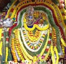 அருள்மிகு மத்தியார்ஜுனேஸ்வரர் சுவாமி திருக்கோயில் தைப்பூசத் திருவிழா 2026