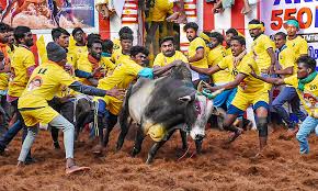 அவனியாபுரம் ஜல்லிக்கட்டு 2026: 11-வது சுற்று முடிவில் முன்னிலை மற்றும் முழு விவரங்கள்