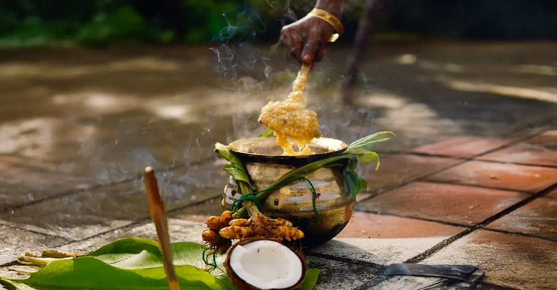 பொங்கல் 2026: தைப்பொங்கல் வைக்க சிறந்த நேரம் இதுதான்! முழு விவரம் உள்ளே.