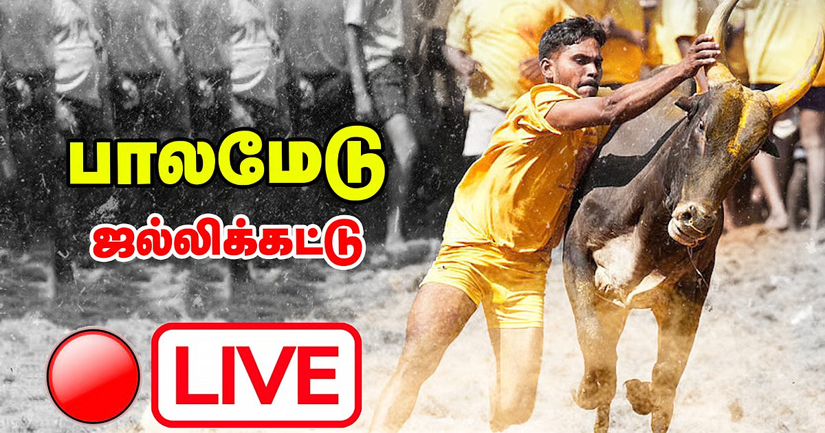 🐂 பாலமேடு ஜல்லிக்கட்டு 2026! - 6-ஆம் சுற்று முடிவில் அஜித் முதலிடம்!