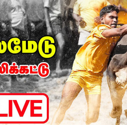 🐂 பாலமேடு ஜல்லிக்கட்டு 2026! - 6-ஆம் சுற்று முடிவில் அஜித் முதலிடம்!