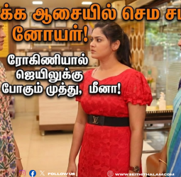 சிறகடிக்க ஆசை: ரோகிணி ரகசியத்தை உடைக்க வரும் பழைய குடும்பம்! விஜயாவிற்கு காத்திருக்கும் சிறை தண்டனை?