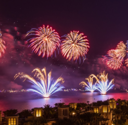 அபுதாபி: 62 நிமிடம் நீடித்த உலக சாதனை வாணவேடிக்கை!