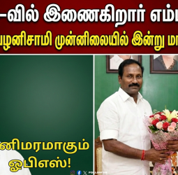 📌"தனிமரமாகும் ஓபிஎஸ்!" - அதிமுக-வில் இணைகிறார் எம்பி தர்மர்! - எடப்பாடி பழனிசாமி முன்னிலையில் இன்று மாலை அதிரடி!